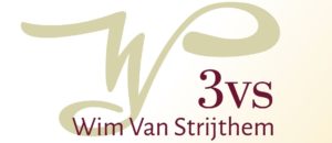 Logo 3VS WVS - grand