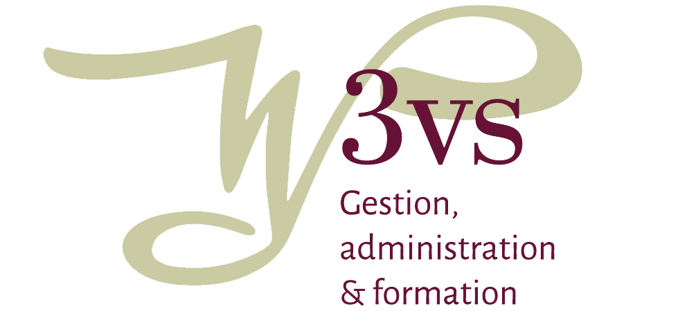 Logo 3VS